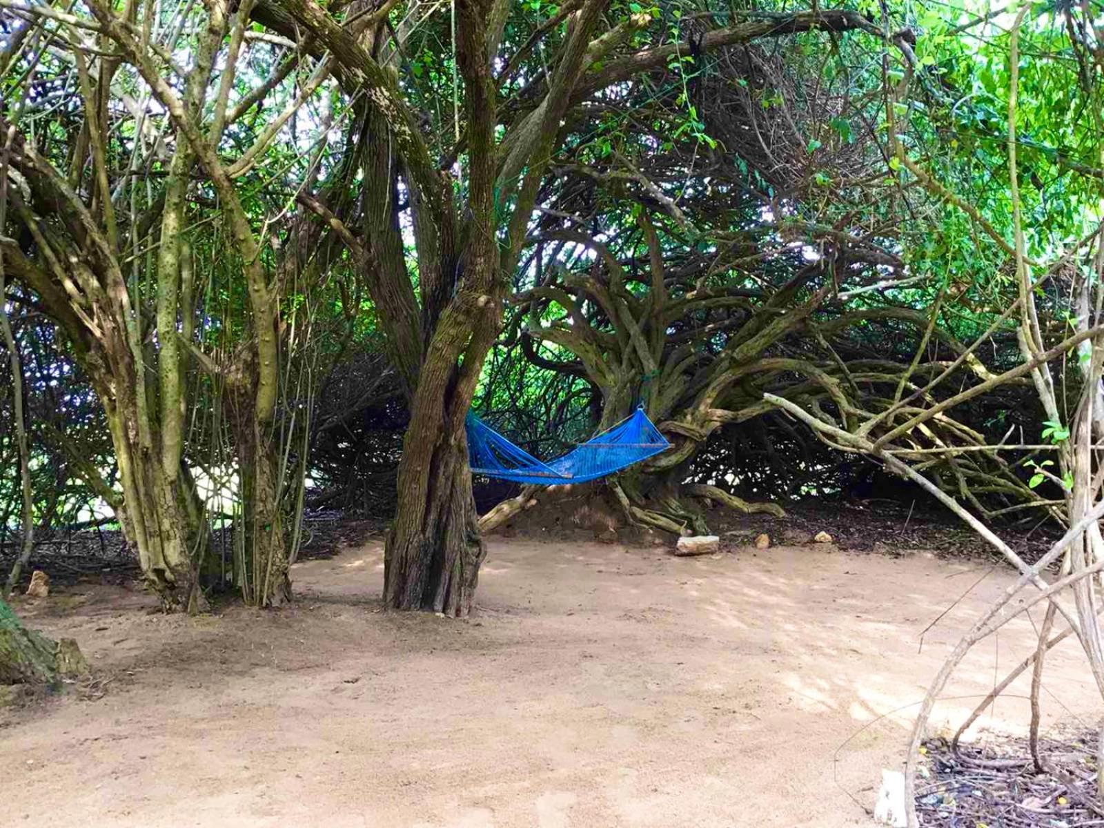 Yala Podi Hoona Bush Camp Hotel Exterior photo